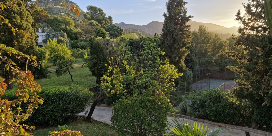 Finca Las Brisas nature views